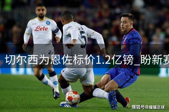切尔西为恩佐标价1.2亿镑 盼新赛季开赛前达成交易
